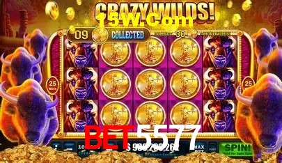 Benefícios VIP na Bet5577